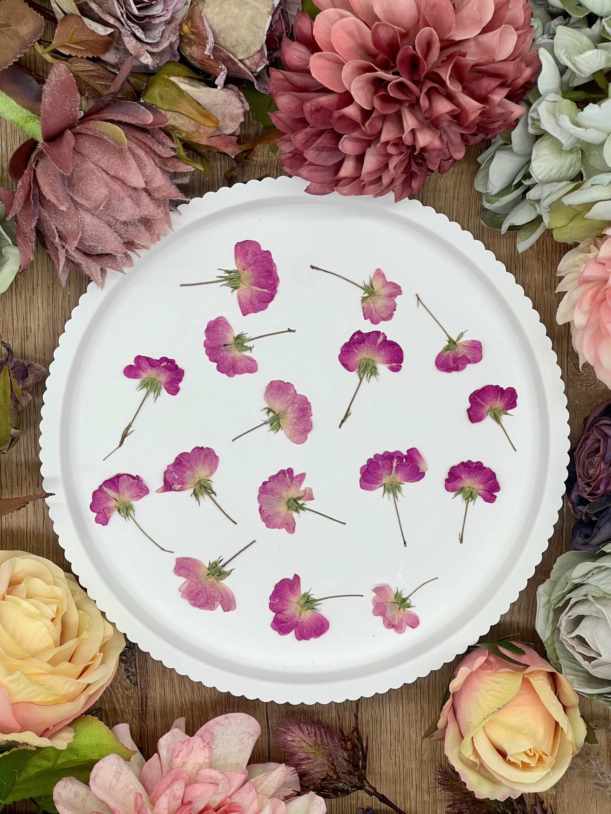 Getrocknete Blumen – gepresste Rosen in pink Rot online kaufen – Biddy Art Design
