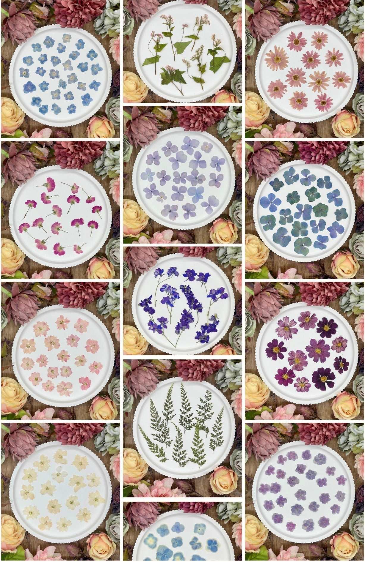 Getrocknete Blumen von Biddy Art Design für kreative DIY-Projekte und Schmuckgestaltung