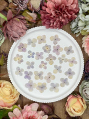 20 handpressed dried hydrangea flowers in purple and beige on a white plate for DIY projects.