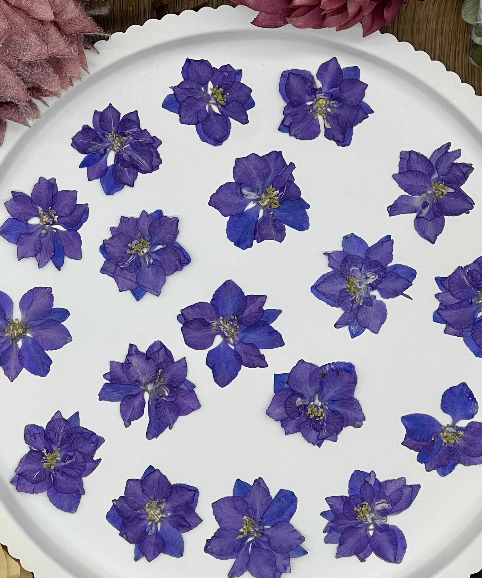 12 getrocknete Larkspur Blüten in lila auf einem weißen Hintergrund für kreative Projekte.