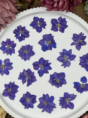 12 getrocknete Larkspur Blüten in lila