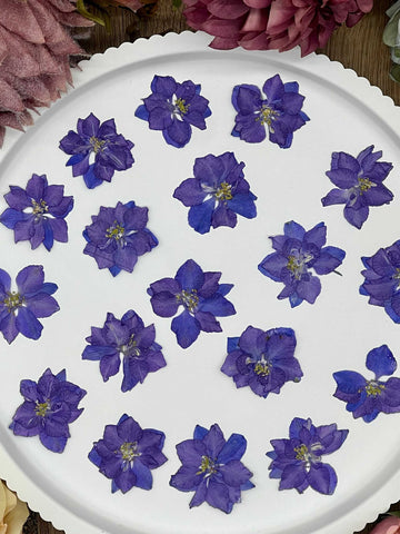 Dried Flowers – 12 dried Larkspur flowers in purple