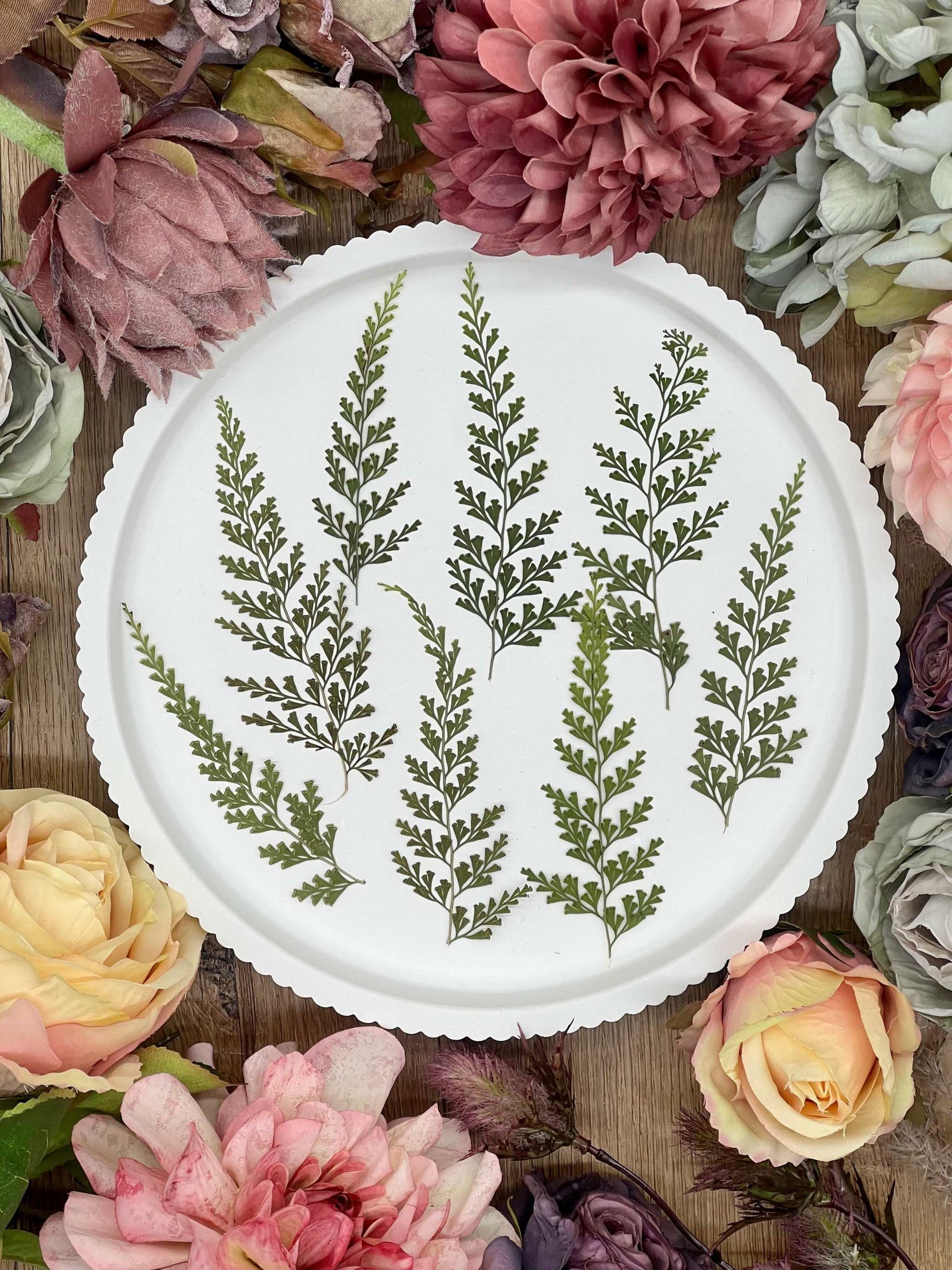 Getrocknete Blumen – 12 handgepresste Farne in Naturgrün, ideal für kreative Projekte wie Resin Art, Scrapbooking und DIY-Dekorationen.
