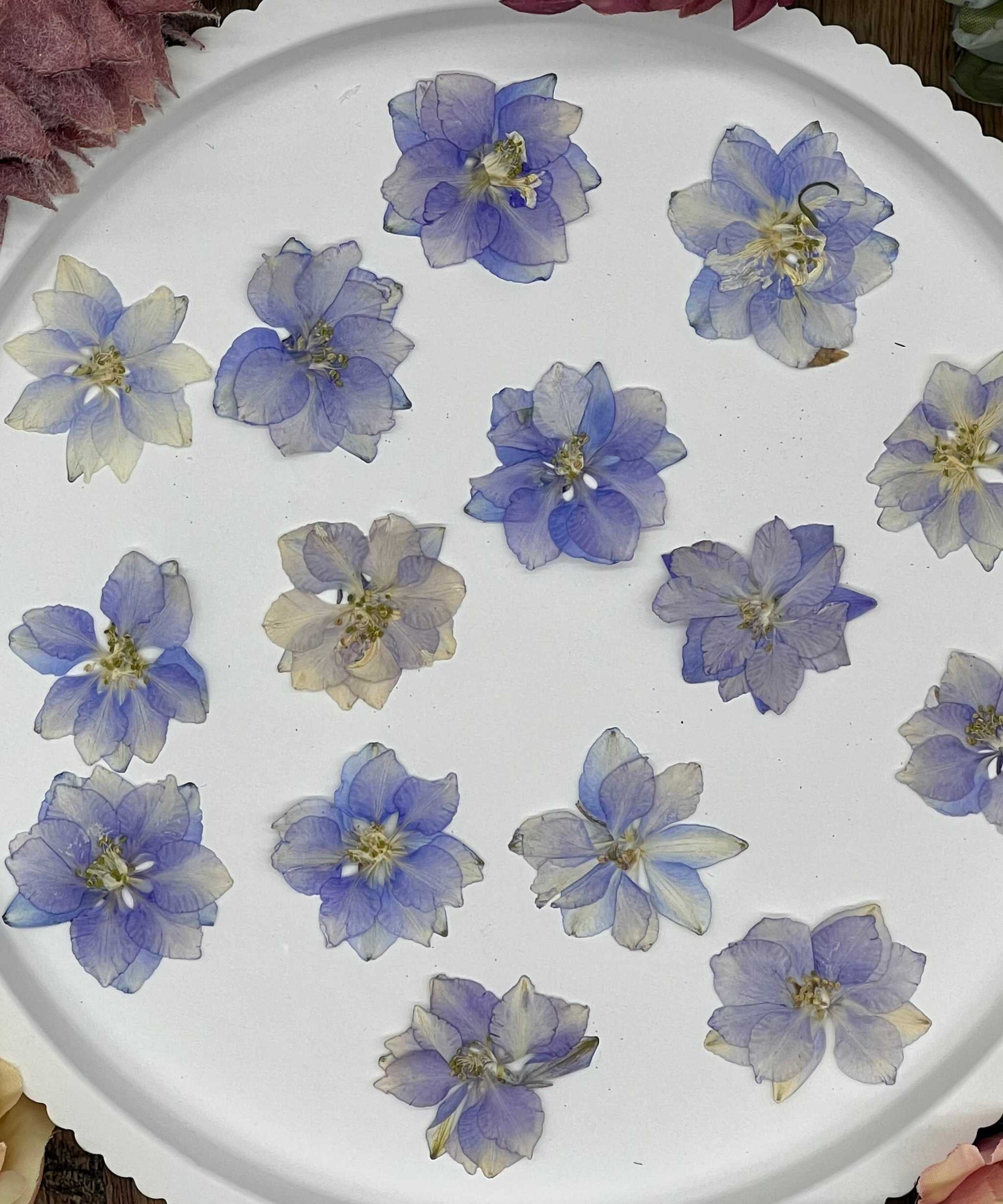 Handgetrocknete, naturbelassene Blumen und Blüten, ideal für Resin Art, Bastelprojekte oder Dekoration. Lebendige Farben für kreative Anwendungen in Kunst und Design. Sorgfältig getrocknete Blüten in strahlenden Farben.