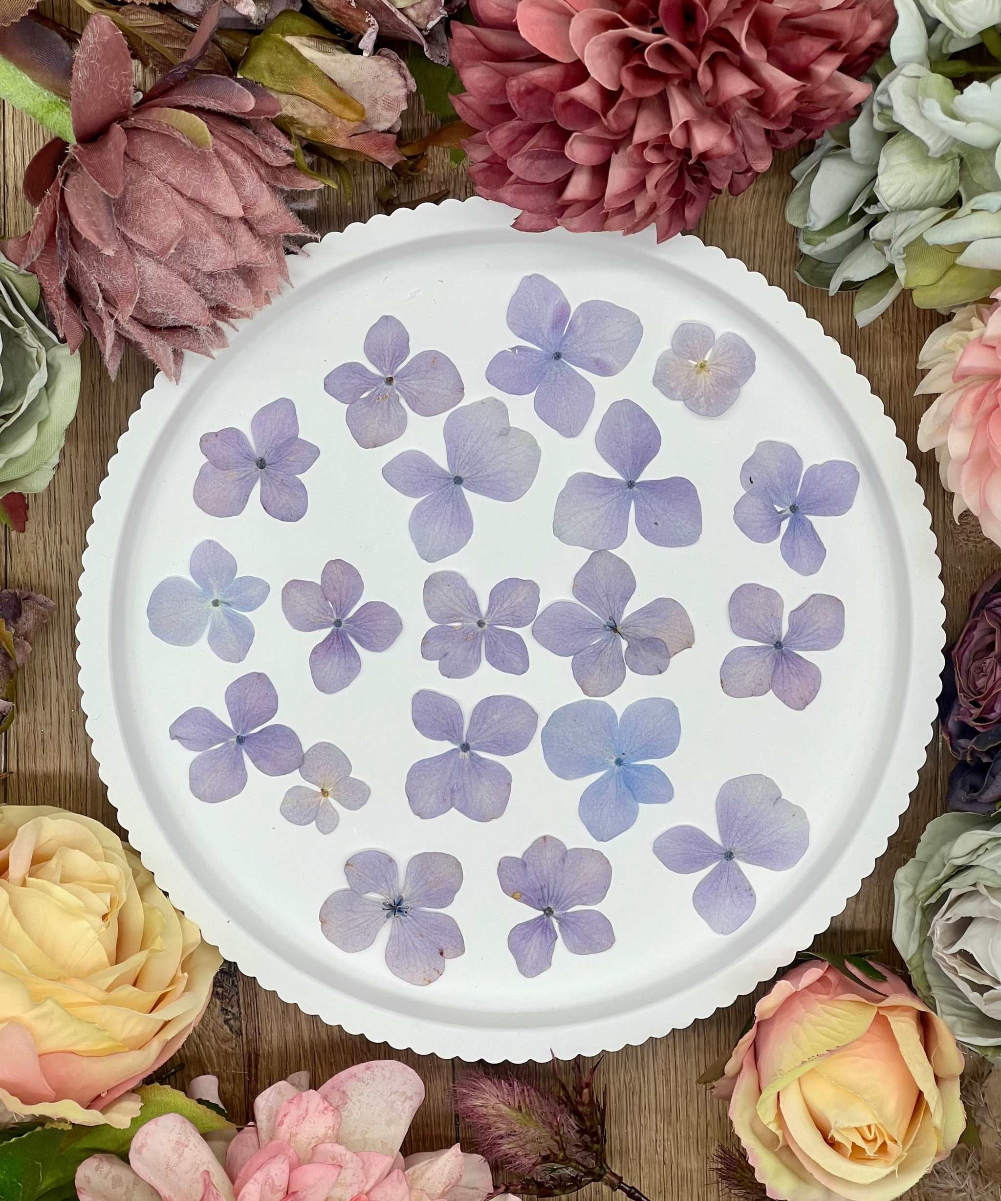 Getrocknete Blumen – 20 handgepresste Hortensien in zartem Lila, perfekt für kreative DIY-Projekte, Resin Art und kunstvolle Dekorationen.