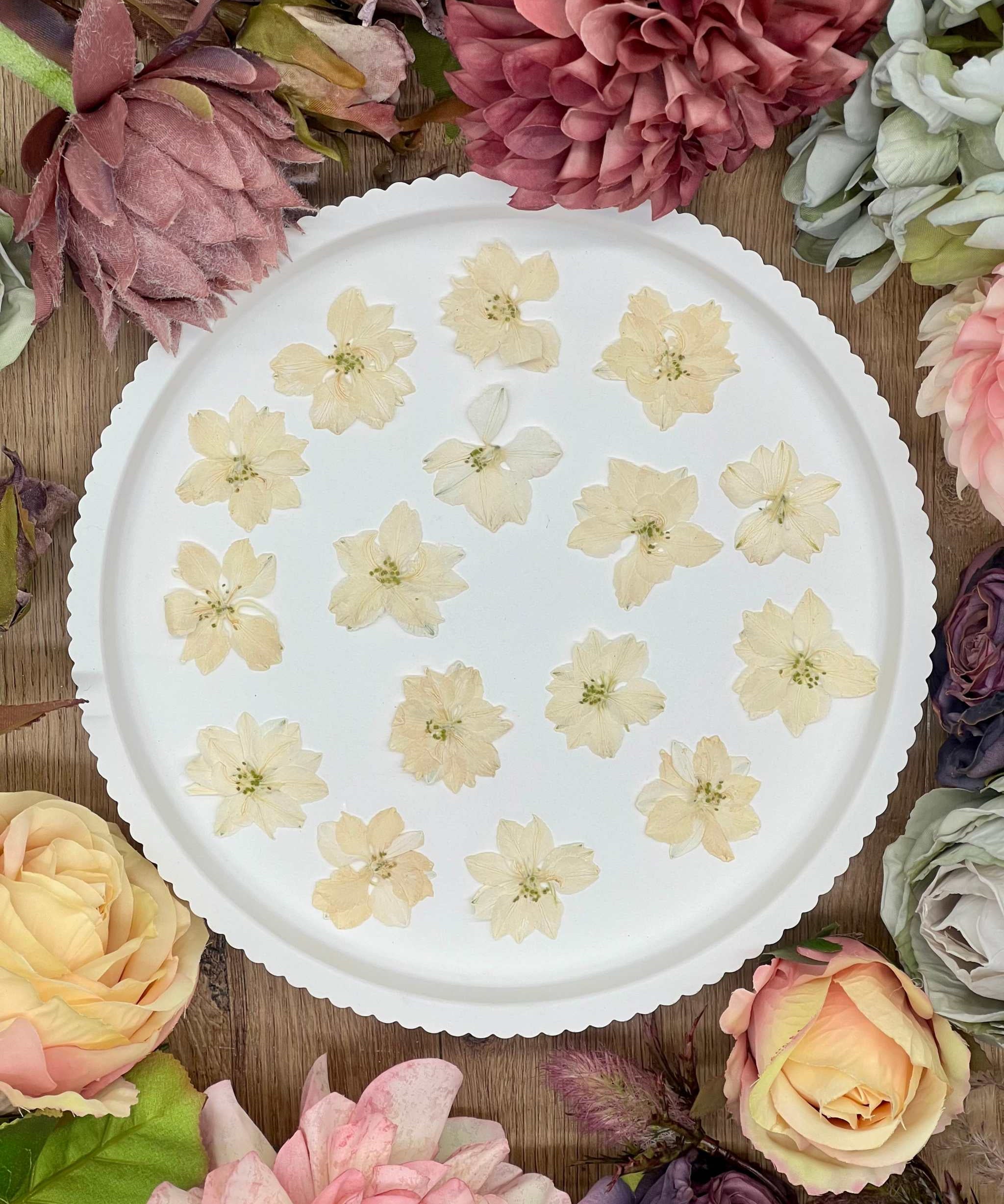 Getrocknete Blumen – 12 handgepresste Larkspur Blüten in strahlendem Weiß, ideal für kreative DIY-Projekte, Resin Art und kunstvolle Dekorationen.