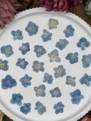 Natürlich getrocknete Lotus Hortensienblüten in intensivem Blau, ideal für Resin-Kunst, Bastelarbeiten und Scrapbooking. Jede Blüte ist einzigartig & detailreich erhalten.