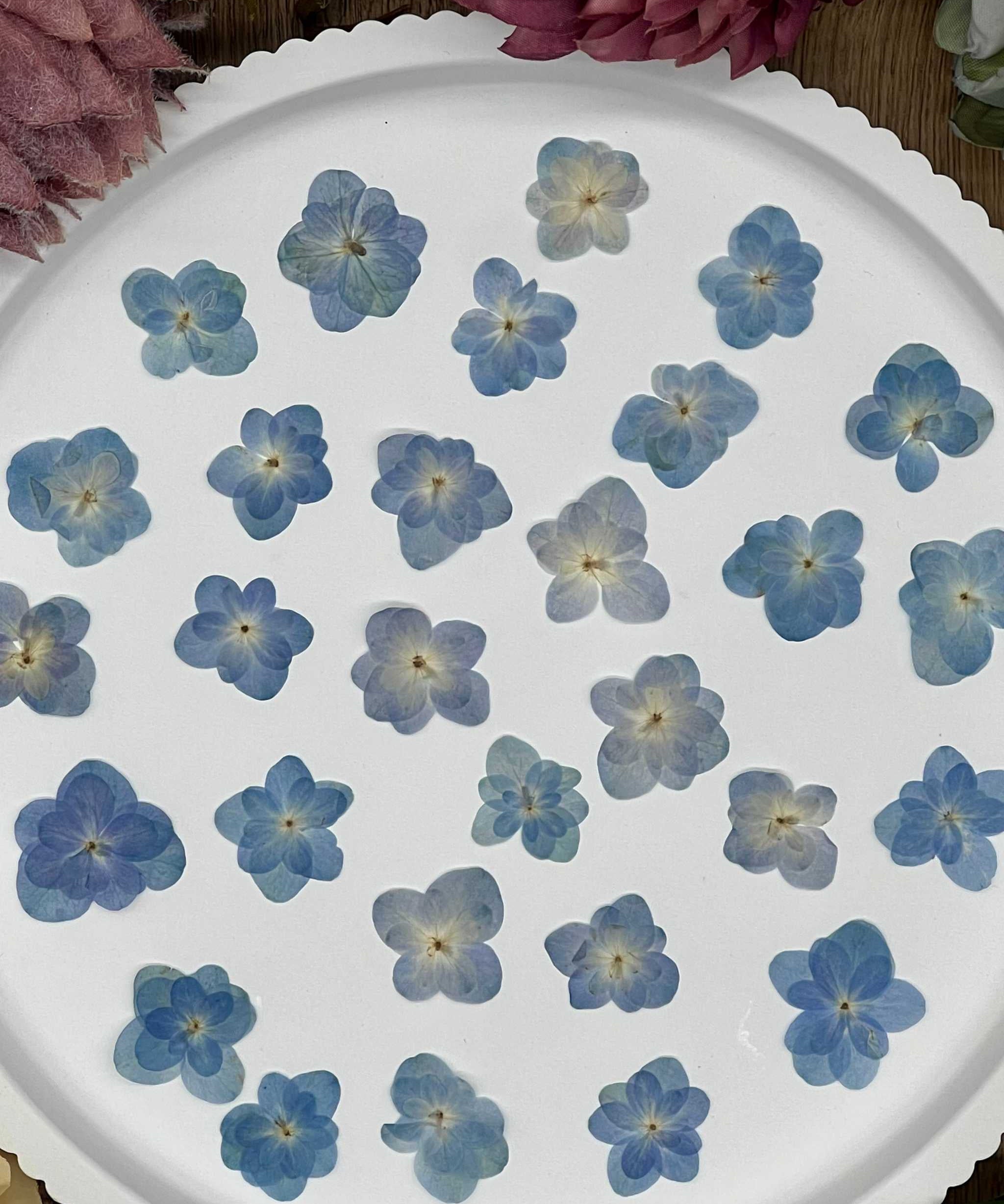 Natürlich getrocknete Lotus Hortensienblüten in intensivem Blau, ideal für Resin-Kunst, Bastelarbeiten und Scrapbooking. Jede Blüte ist einzigartig & detailreich erhalten.