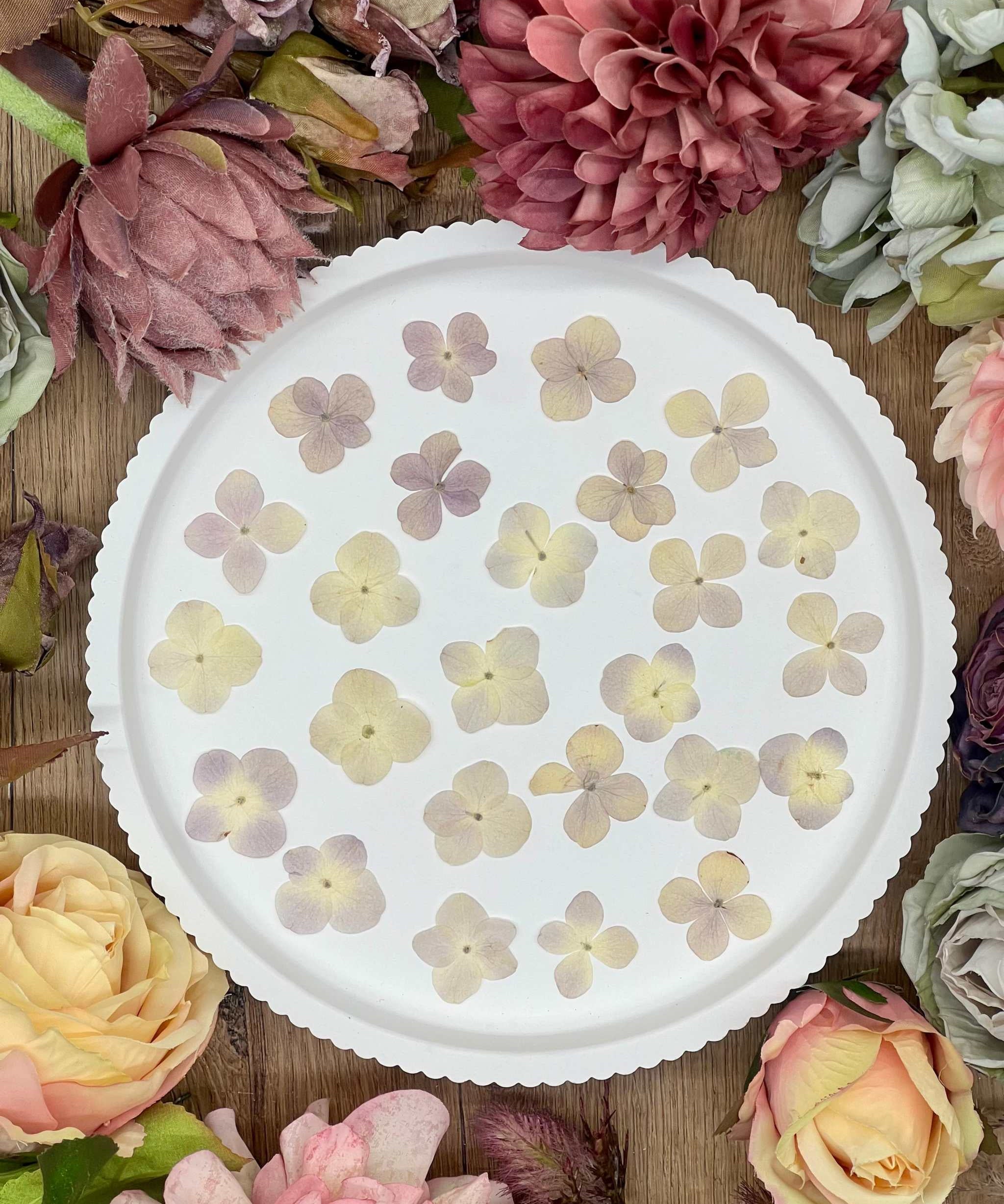 Getrocknete Blumen – 20 handgepresste Hortensien in zartem Flieder, perfekt für kreative DIY-Projekte, Resin Art und kunstvolle Dekorationen.