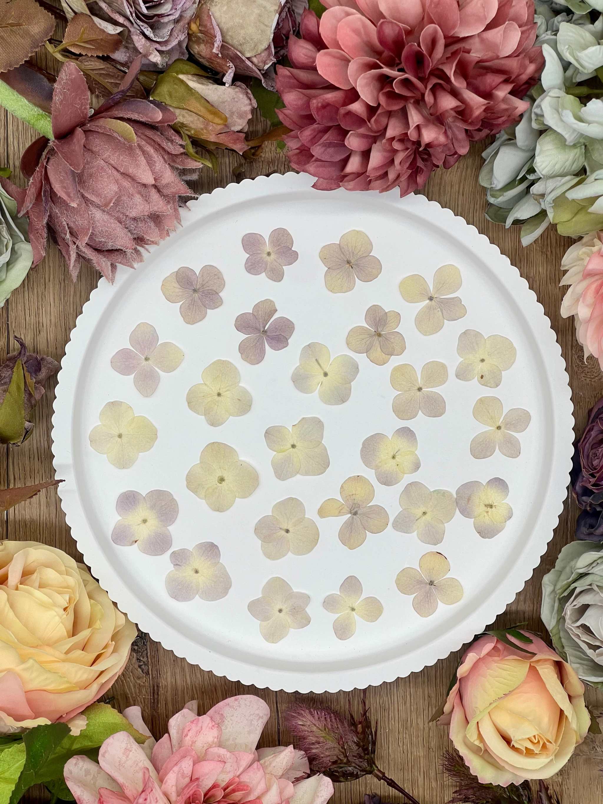 Getrocknete Blumen – 20 handgepresste Hortensien in zartem Flieder, perfekt für kreative DIY-Projekte, Resin Art und kunstvolle Dekorationen.