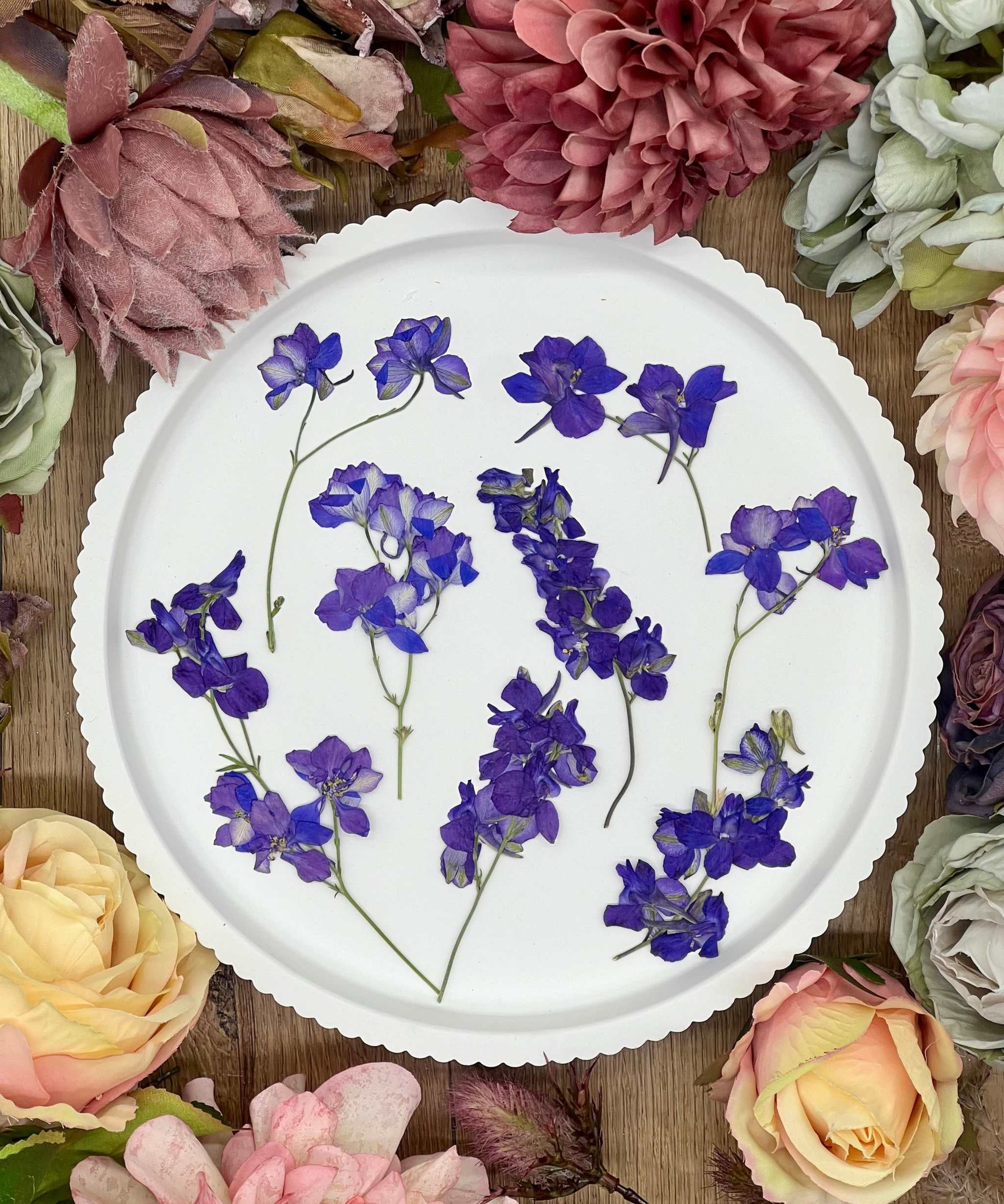 Handgetrocknete, naturbelassene Blumen und Blüten, ideal für Resin Art, Bastelprojekte oder Dekoration. Lebendige Farben für kreative Anwendungen in Kunst und Design. Sorgfältig getrocknete Blüten in strahlenden Farben.
