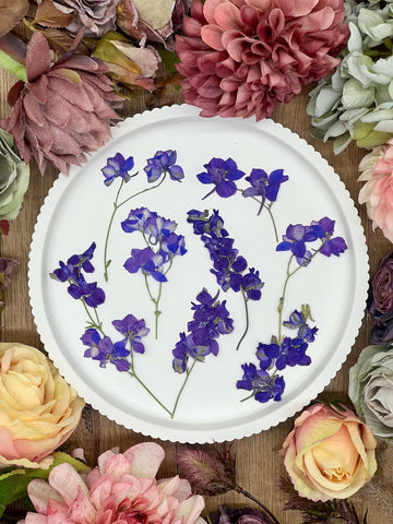 Getrocknete Blumen – 10 getrocknete Larkspur in blau