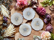 4 zeitlose Untersetzer aus weißem Resin mit silbernen Details auf Holztisch mit Dekoblumen