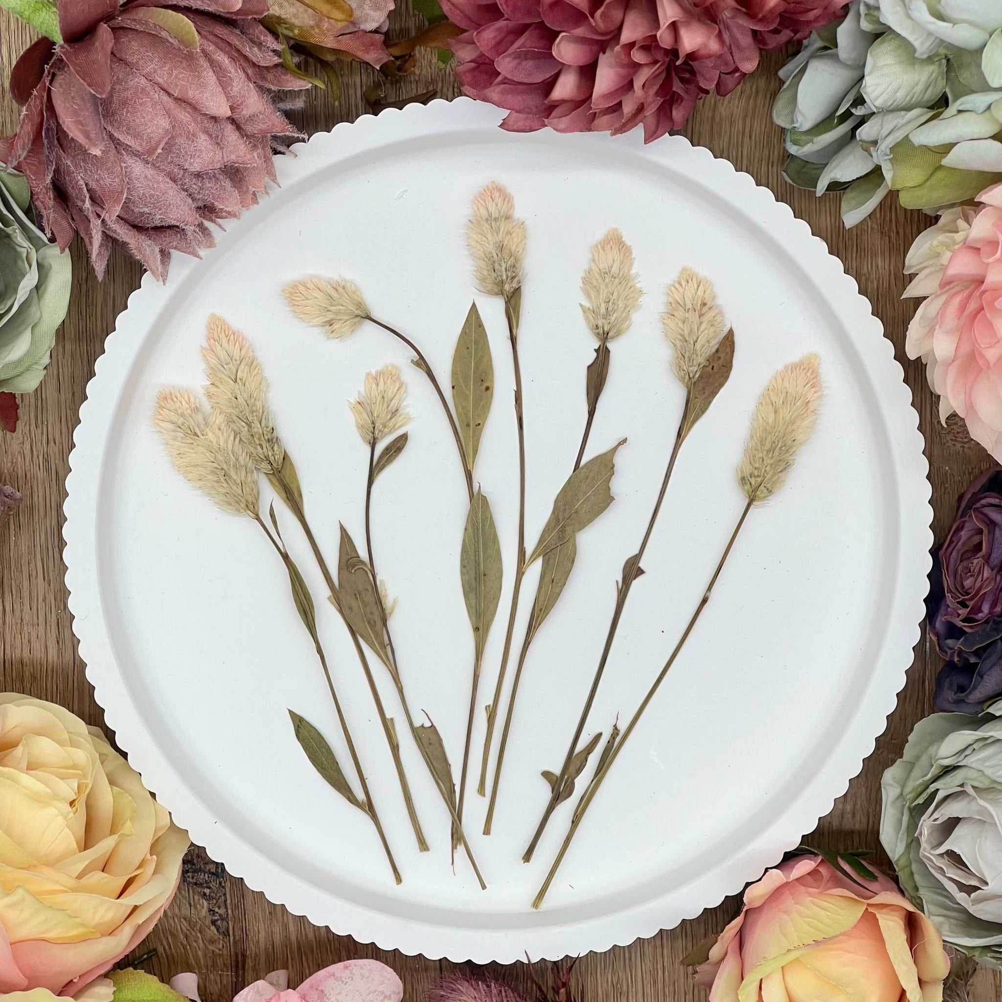 Traumhafte, handverlesene Blumen, getrocknet und naturbelassen, für DIY-Projekte, Scrapbooking oder Resin Kunst. Hochwertig getrocknete Blüten in wunderschönen Farben, perfekt für Kunst-, Bastel- und Dekorationsprojekte.