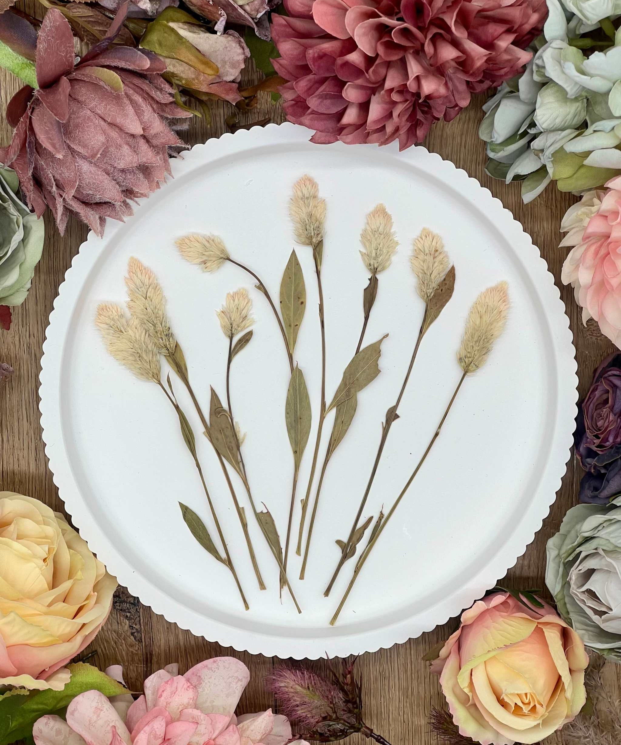 Traumhafte, handverlesene Blumen, getrocknet und naturbelassen, für DIY-Projekte, Scrapbooking oder Resin Kunst. Hochwertig getrocknete Blüten in wunderschönen Farben, perfekt für Kunst-, Bastel- und Dekorationsprojekte.