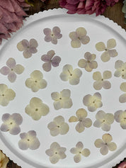 Natürlich getrocknete Hortensienblüten in sanftem Fliederton, ideal für Resin-Kunst, Bastelarbeiten und Scrapbooking. Jede Blüte ist einzigartig & detailreich erhalten.
