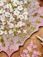 Perfekt für Resin Art – diese getrockneten Blumen und Blüten lassen sich ideal in Epoxidharz einarbeiten und verleihen Schmuck oder Tabletts eine besondere Note.