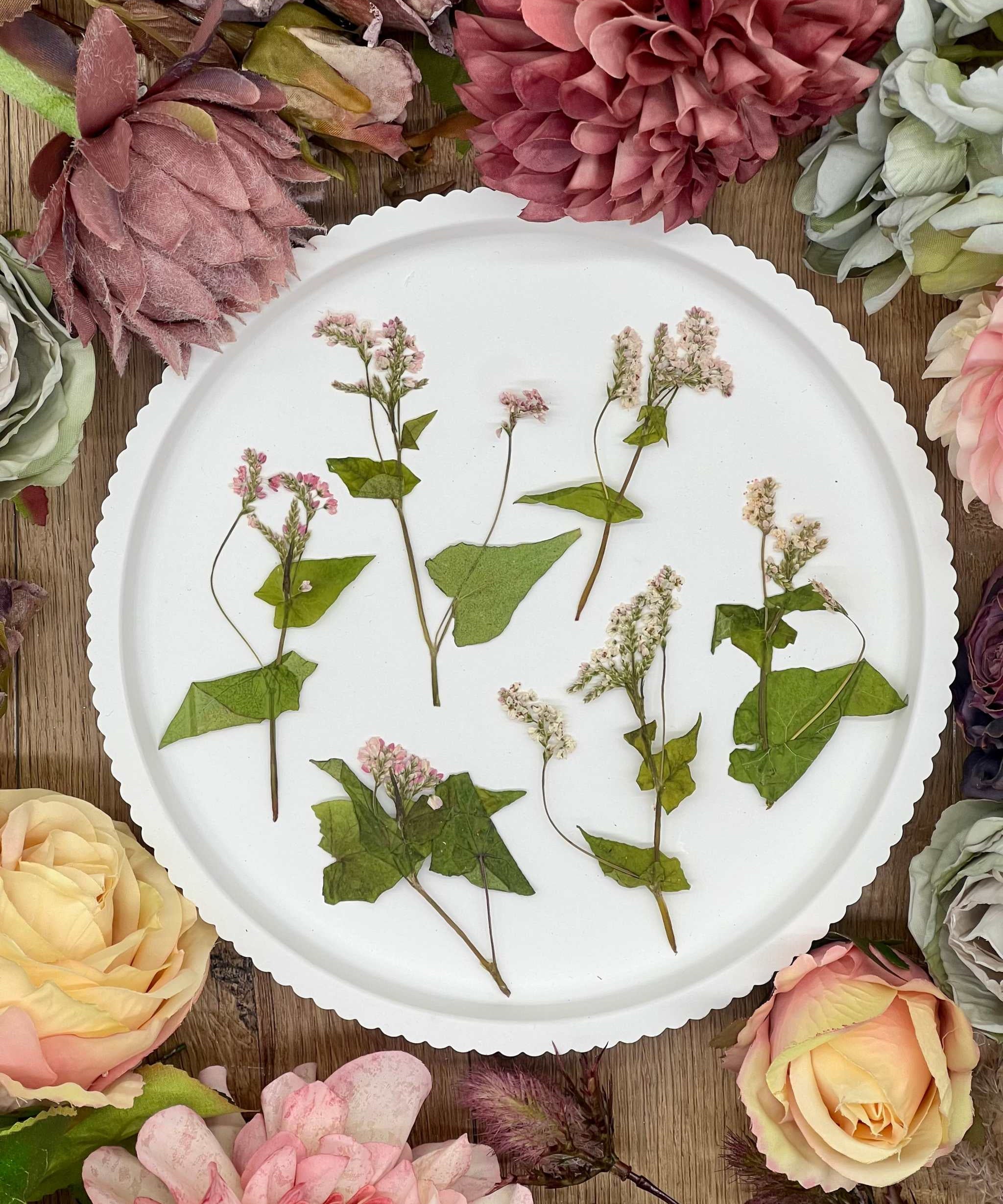 Handgetrocknete, naturbelassene Blumen und Blüten, ideal für Resin Art, Bastelprojekte oder Dekoration. Lebendige Farben für kreative Anwendungen in Kunst und Design. Sorgfältig getrocknete Blüten in strahlenden Farben.
