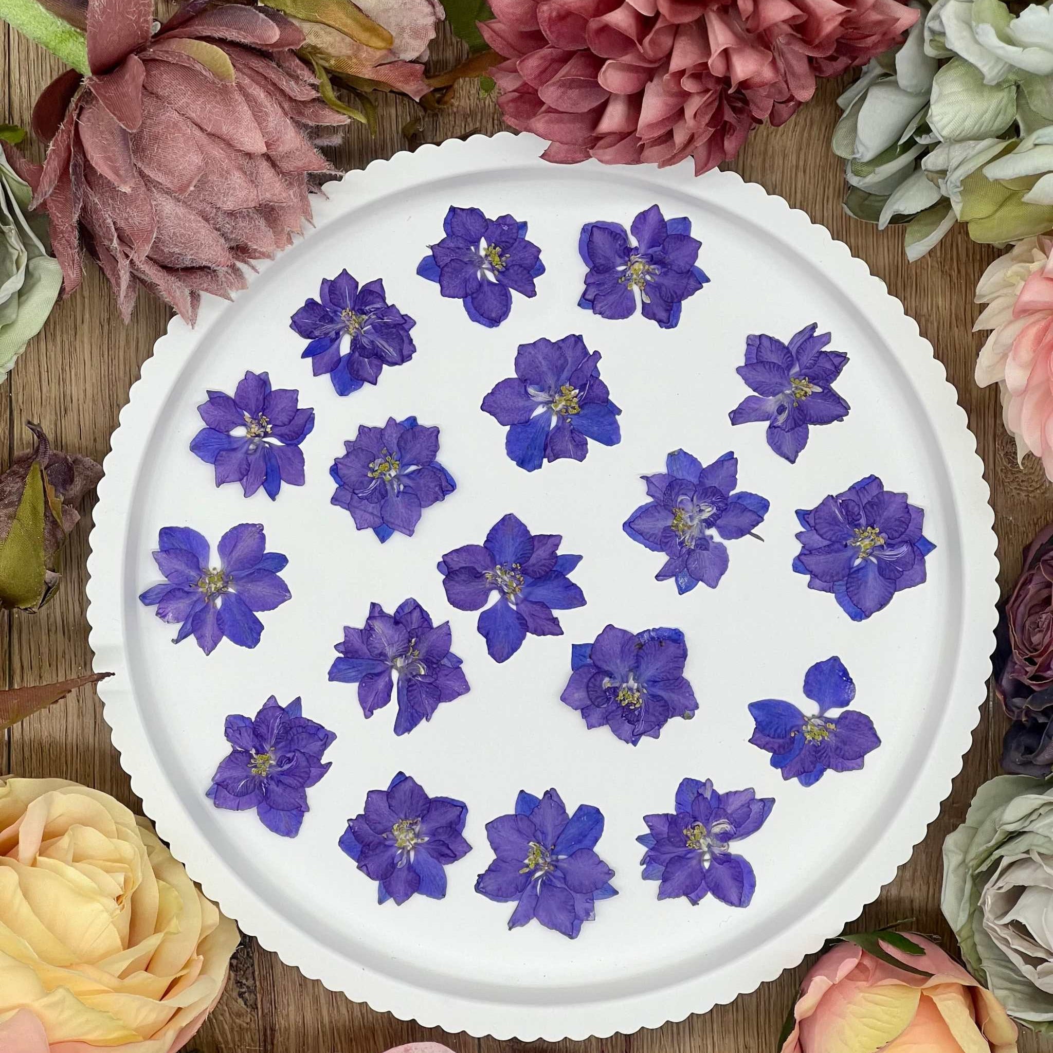 12 purple dried Larkspur flowers on a white plate surrounded by various blooms.