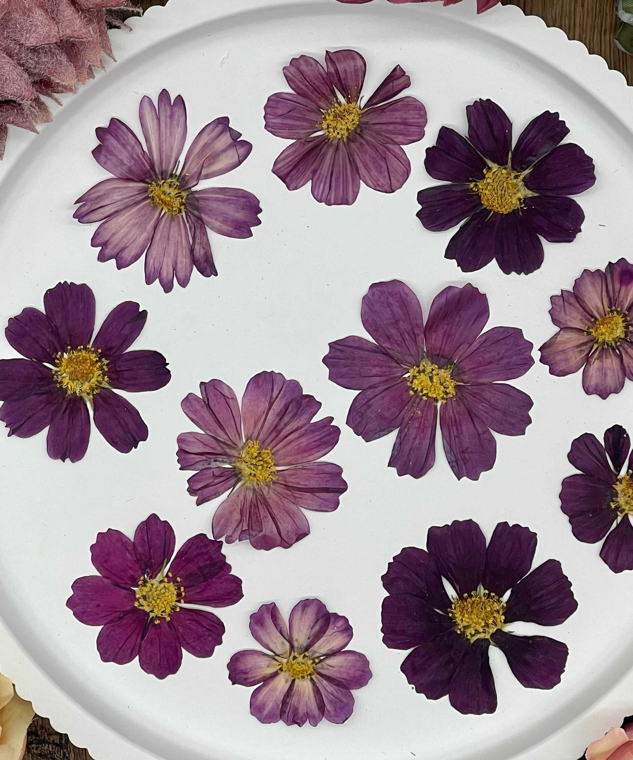 Handgetrocknete, naturbelassene Blumen und Blüten, ideal für Resin Art, Bastelprojekte oder Dekoration. Lebendige Farben für kreative Anwendungen in Kunst und Design. Sorgfältig getrocknete Blüten in strahlenden Farben.

Naturgetrocknete Blüten in authentischen Farben, handverlesen und ideal für kreative Projekte, von Resin Art bis hin zu Dekorationen. Selbstgetrocknete Blüten für kreative Projekte und Resin Art. Perfekt für DIY-Kunstwerke und Dekorationen.

