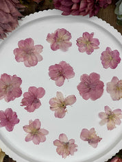 Twelve dried pink Sakura cherry blossoms displayed on a white tray, perfect for creative projects like resin art and scrapbooking.