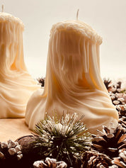
Ausgefallene Rapswachskerze, handgegossen und vegan – perfekt als umweltfreundliches Geschenk oder Dekorationsidee.