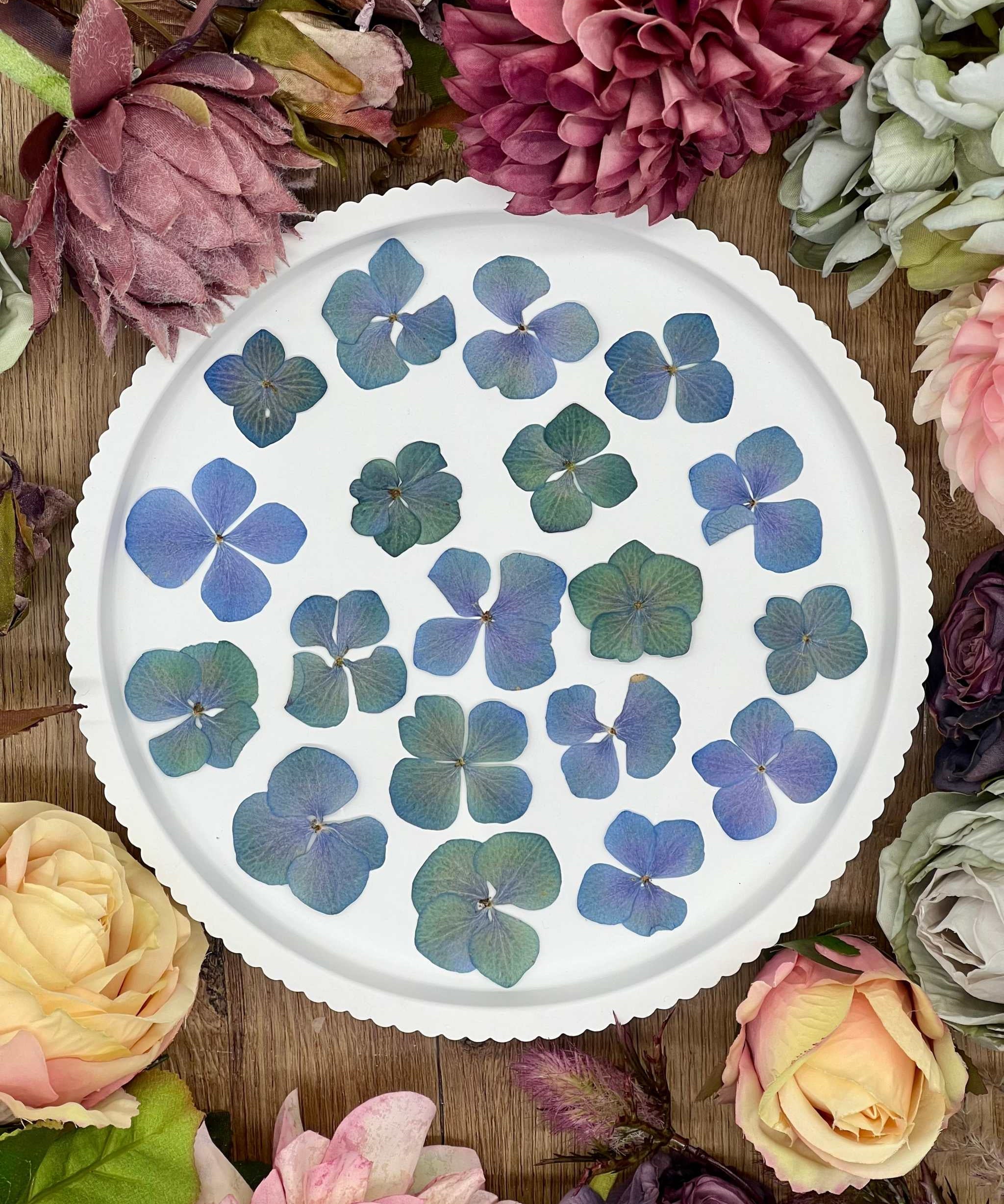 Getrocknete Blumen – 20 handgepresste Hortensien in Blau und Grün, ideal für kreative DIY-Projekte, Resin Art und kunstvolle Dekorationen.