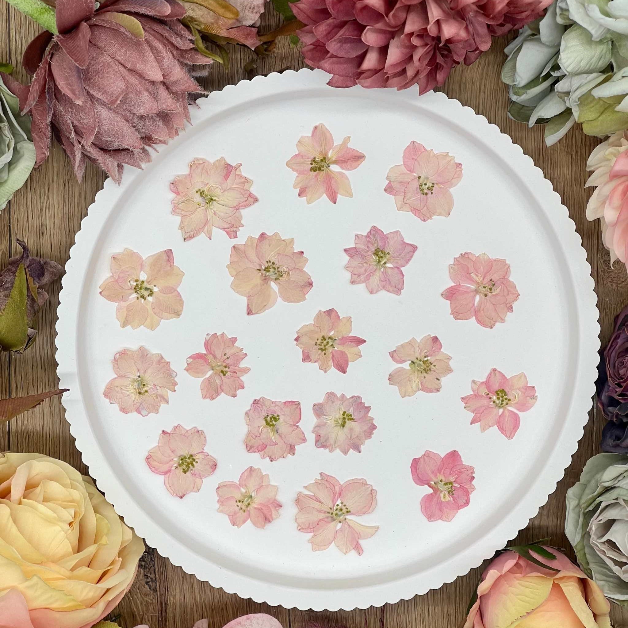 Handgetrocknete, naturbelassene Blumen und Blüten, ideal für Resin Art, Bastelprojekte oder Dekoration. Lebendige Farben für kreative Anwendungen in Kunst und Design. Sorgfältig getrocknete Blüten in strahlenden Farben.