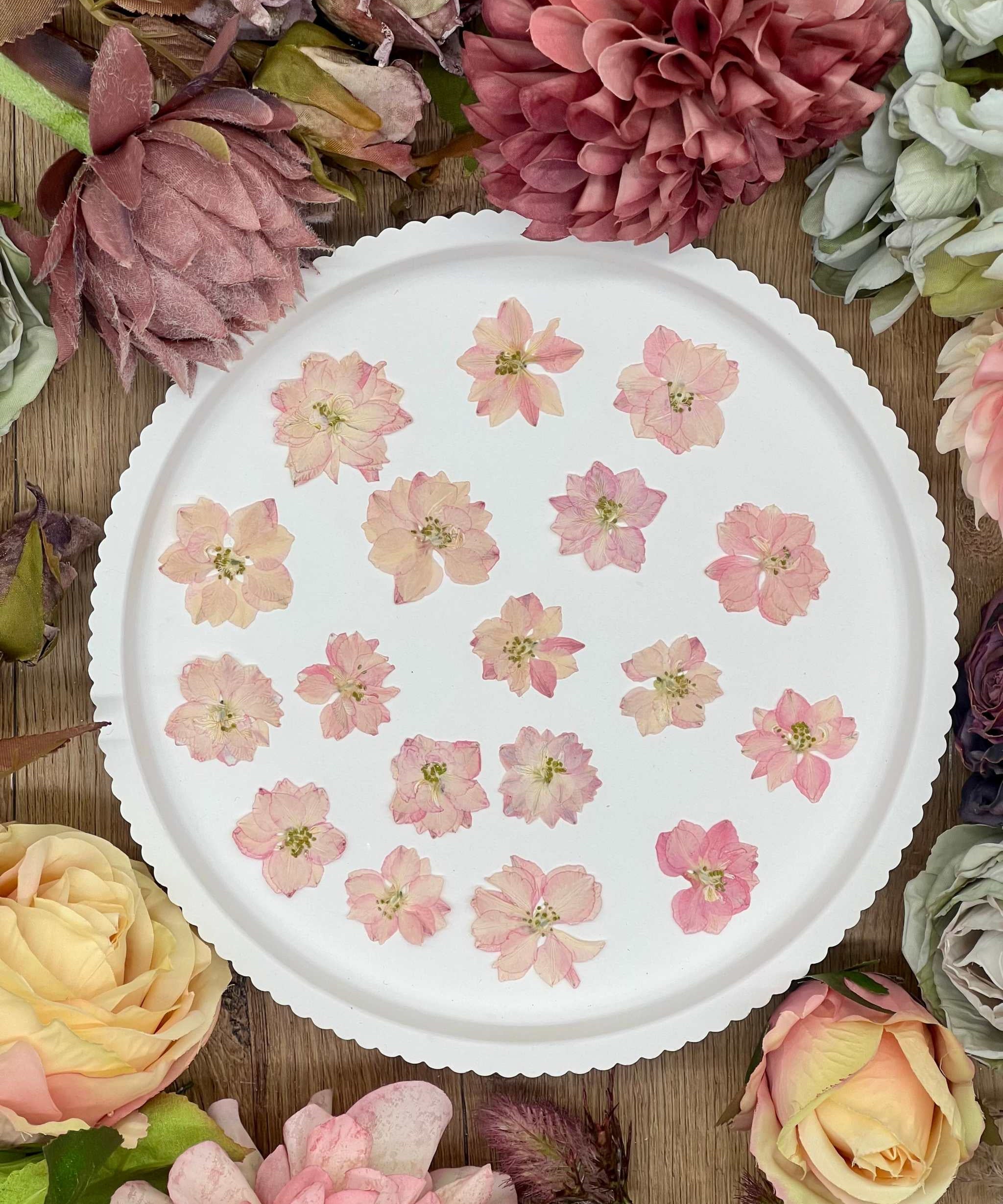 Handgetrocknete, naturbelassene Blumen und Blüten, ideal für Resin Art, Bastelprojekte oder Dekoration. Lebendige Farben für kreative Anwendungen in Kunst und Design. Sorgfältig getrocknete Blüten in strahlenden Farben.