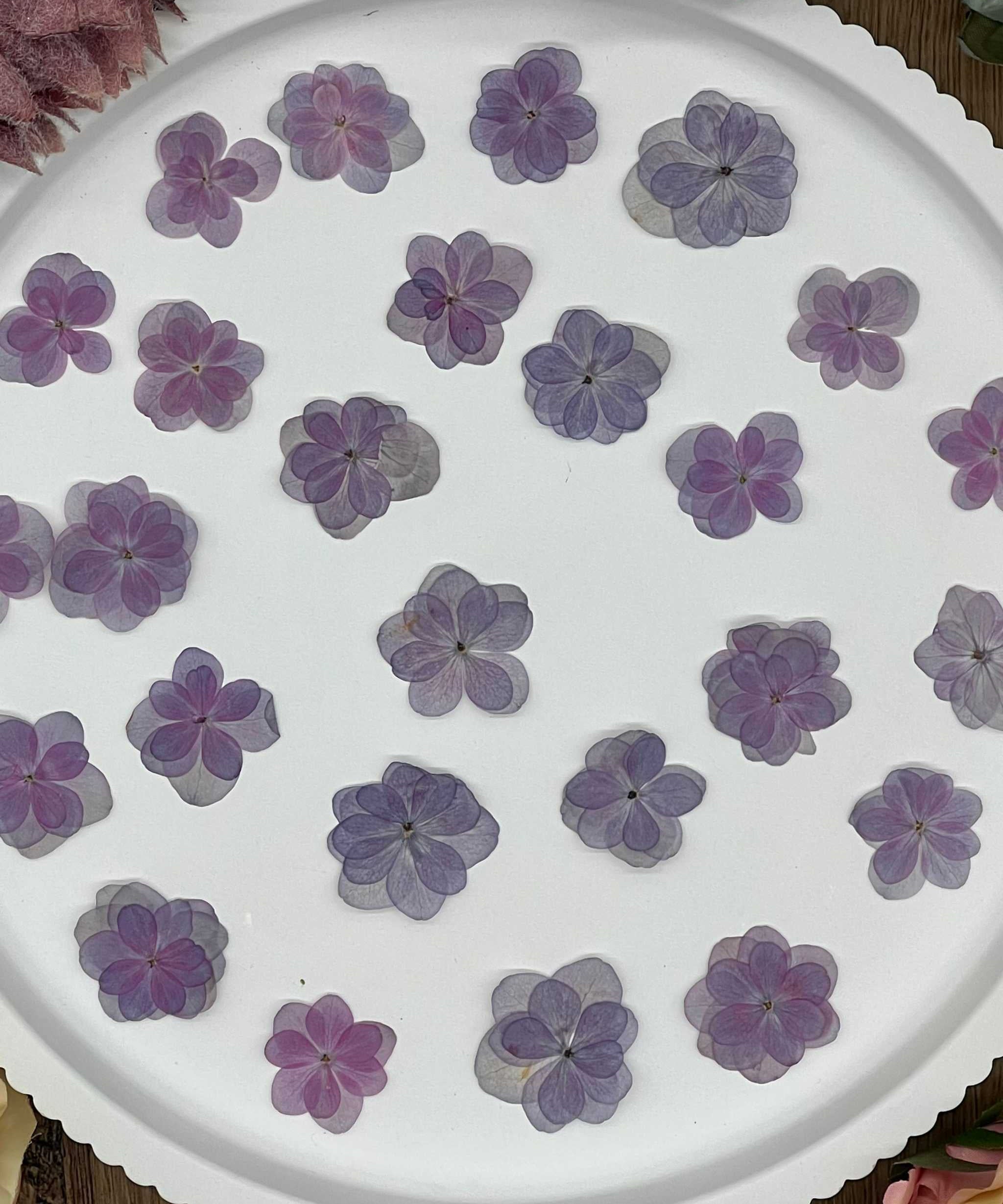 Natürlich getrocknete Lotus Hortensienblüten in sanftem Lila, ideal für Resin-Kunst, Bastelarbeiten und Scrapbooking. Jede Blüte ist einzigartig & detailreich erhalten.