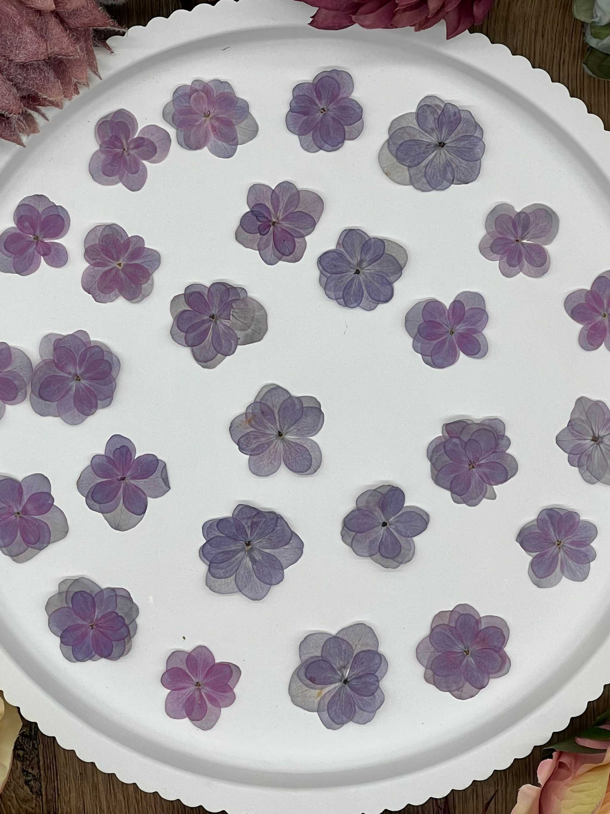Natürlich getrocknete Lotus Hortensienblüten in sanftem Lila, ideal für Resin-Kunst, Bastelarbeiten und Scrapbooking. Jede Blüte ist einzigartig & detailreich erhalten.