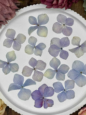 20 dried purple hydrangea flowers for DIY, resin art, and crafts.
