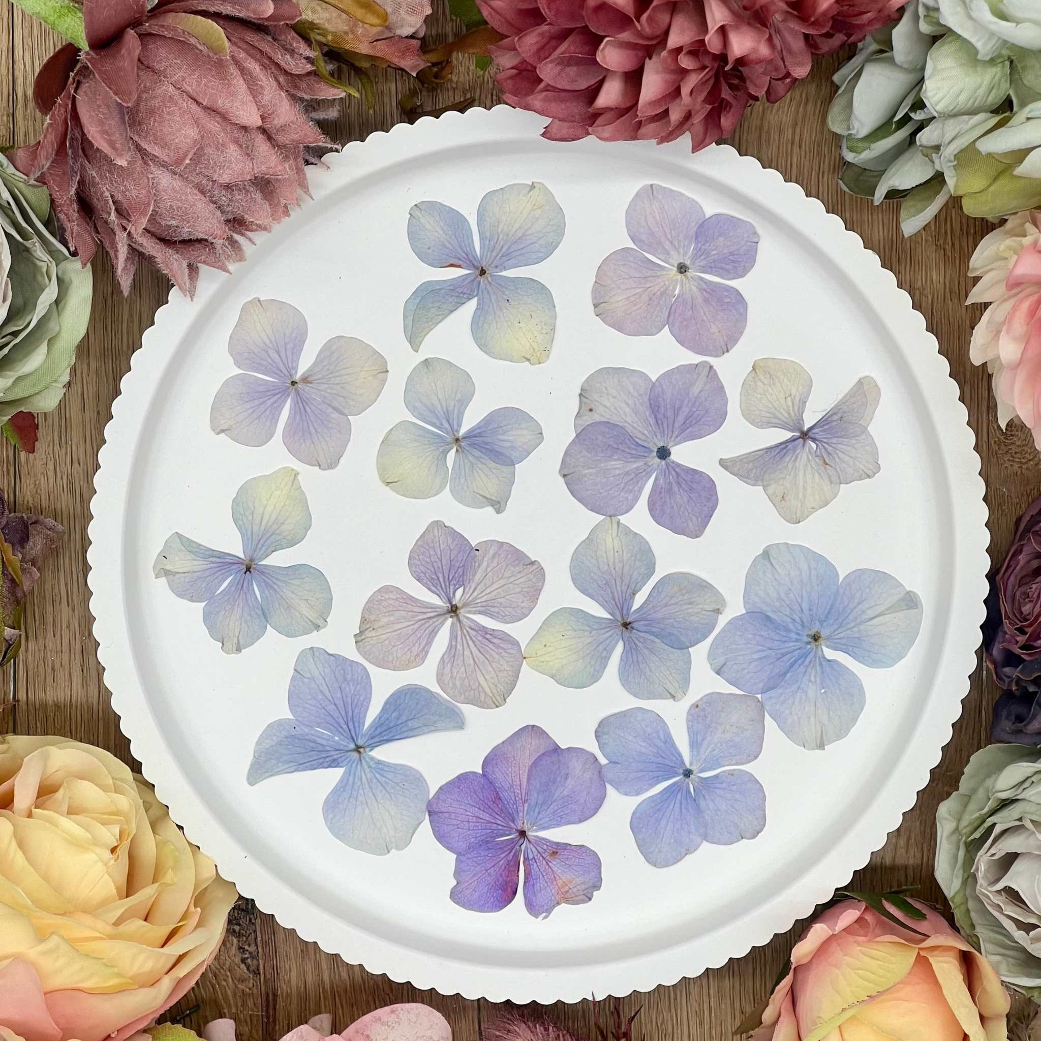 20 handpressed purple hydrangea flowers on a white plate surrounded by colorful blooms.
