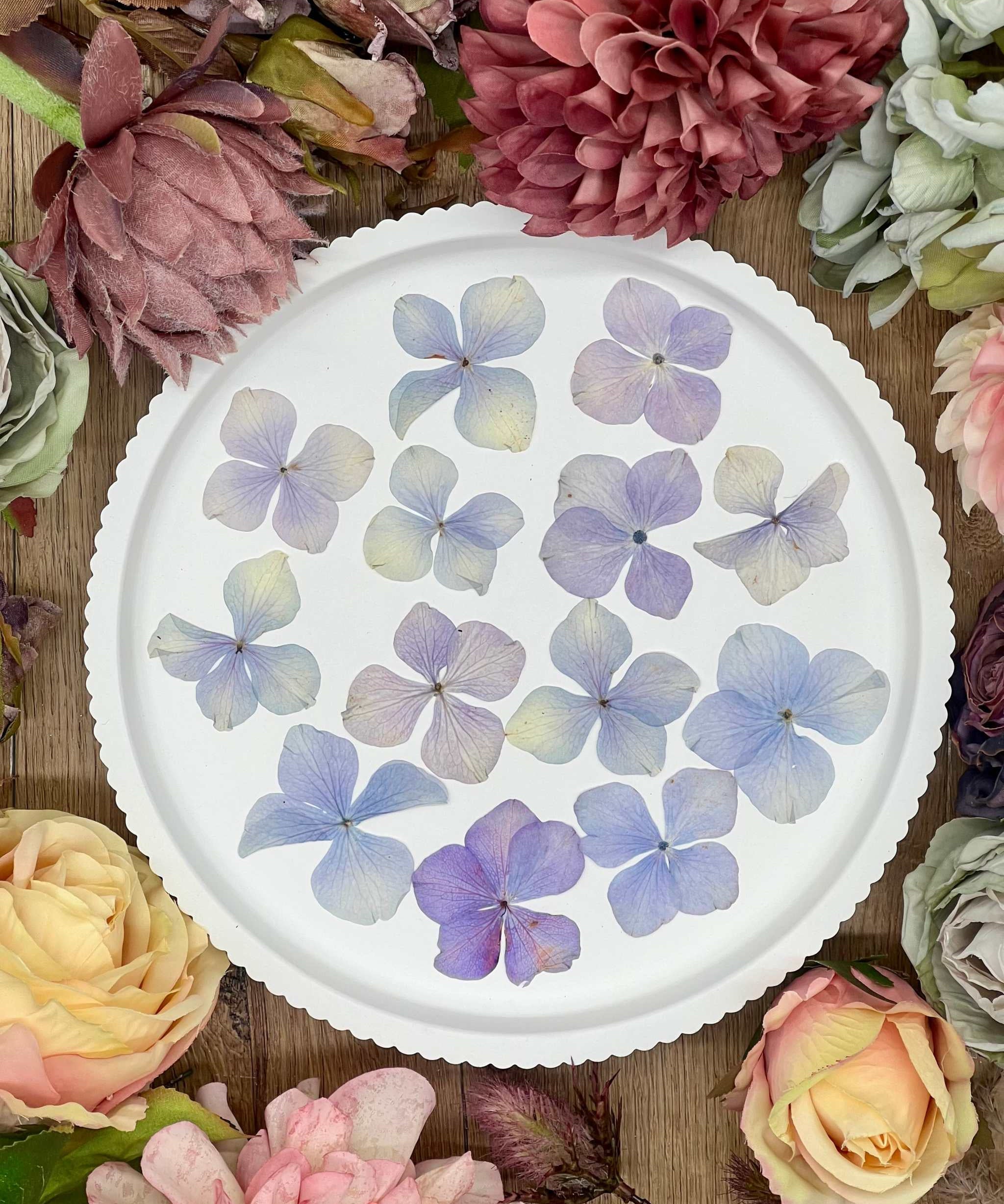 20 handpressed purple hydrangea flowers on a white plate surrounded by colorful blooms.