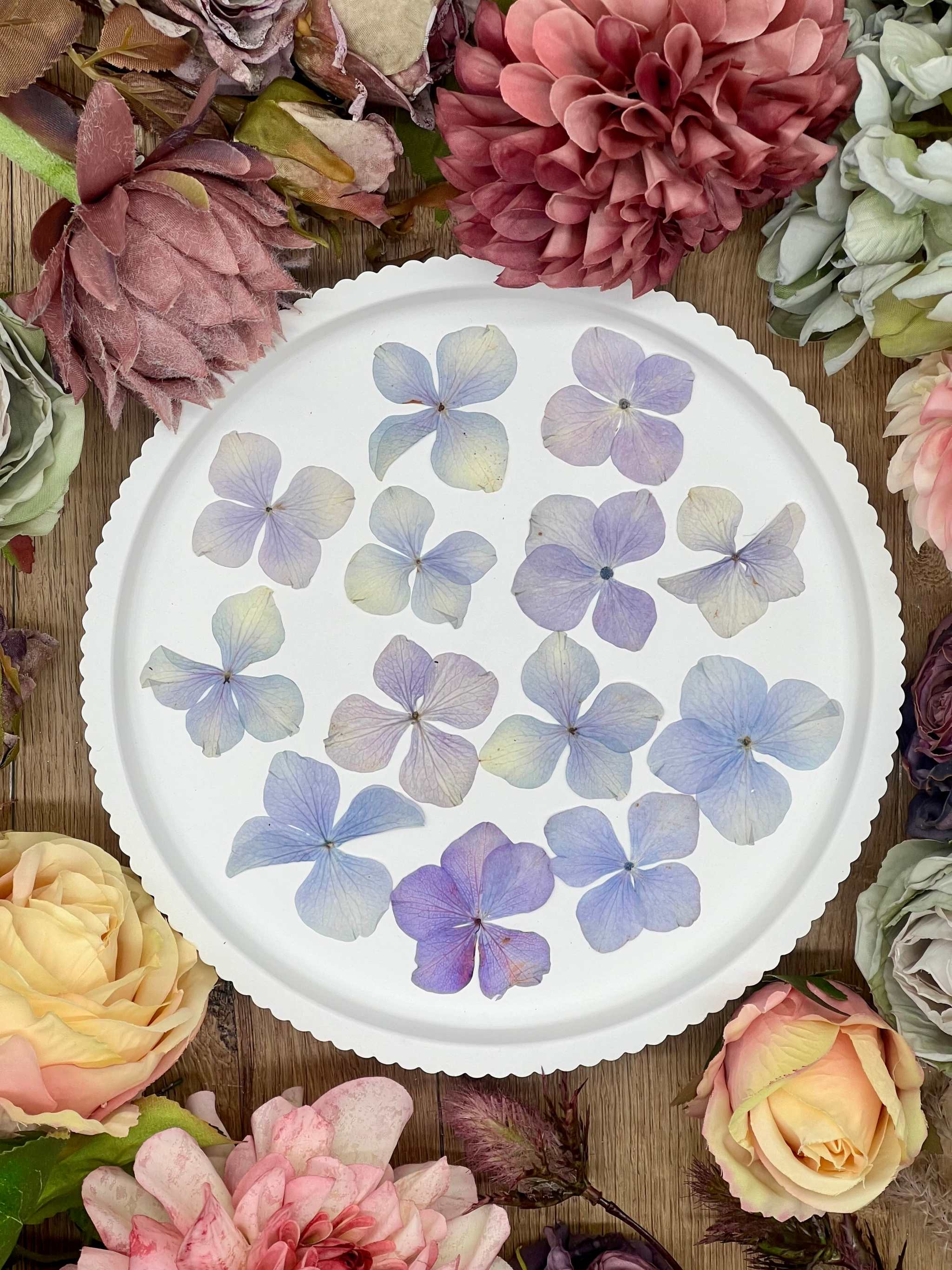20 handpressed purple hydrangea flowers on a white plate surrounded by colorful blooms.