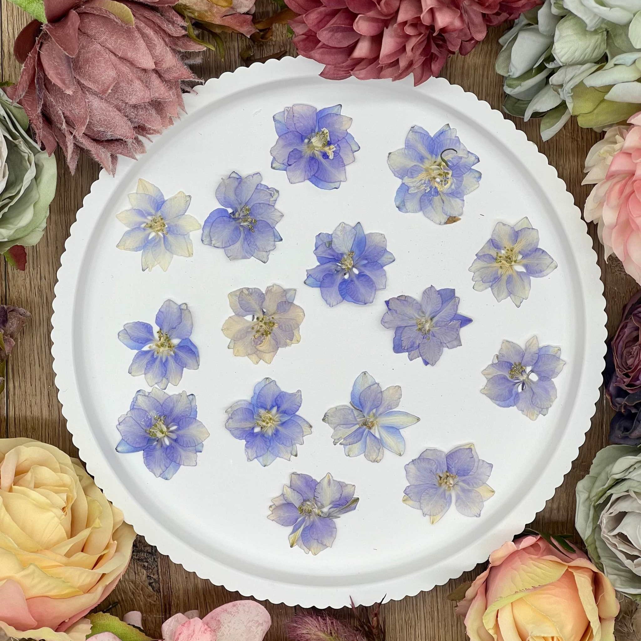 Getrocknete Blumen Larkspur in Violett, perfekt für Resin Art, DIY-Projekte, Kerzenherstellung, Scrapbooking und Schmuckdesign. Hochwertig und handgepresst.

Violette Delphinium Blüten getrocknet und gepresst – ideal für kreative Kunstprojekte wie Resin, Epoxidharz, Nageldesign oder individuelle Grußkarten.
