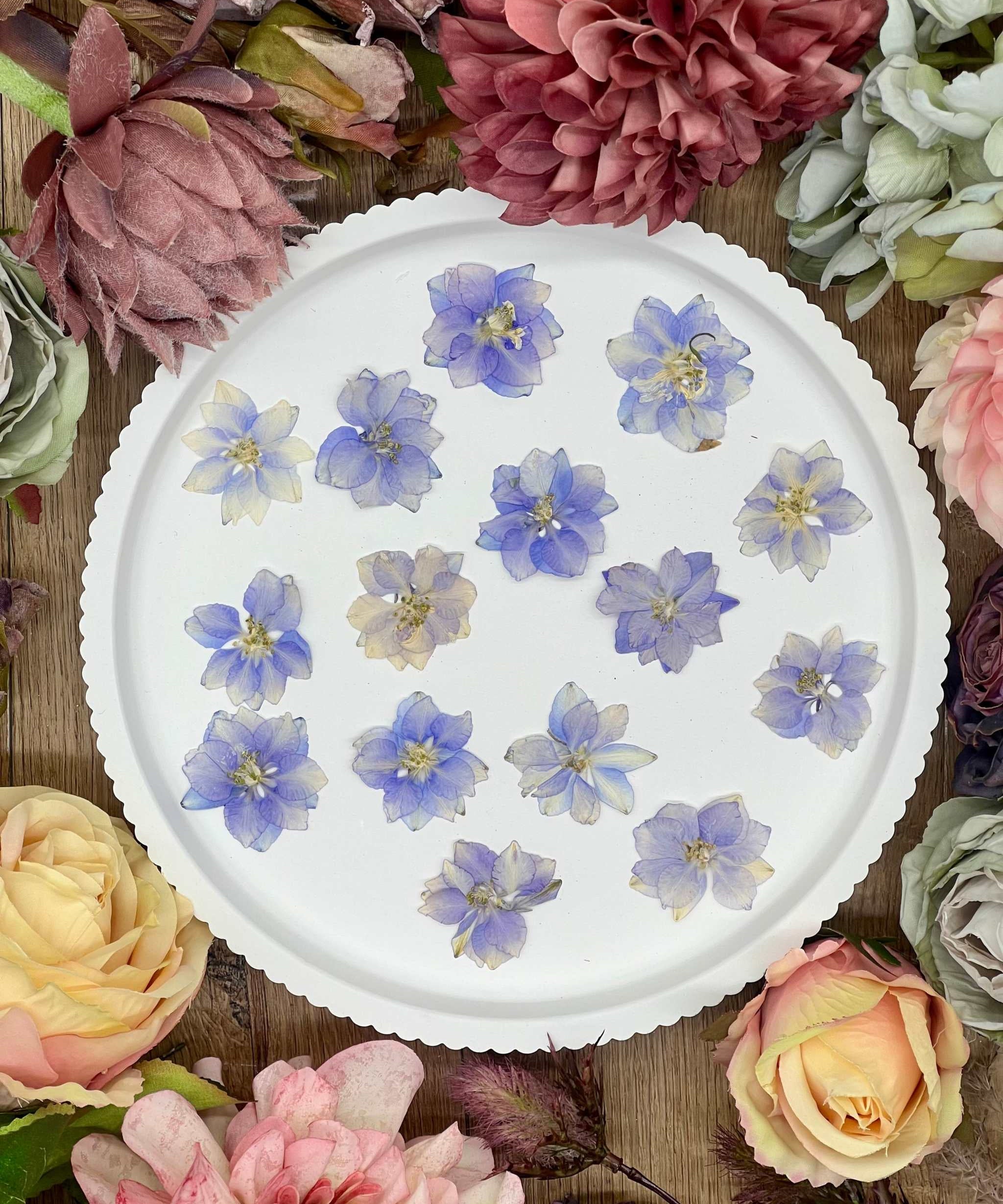 Getrocknete Blumen Larkspur in Violett, perfekt für Resin Art, DIY-Projekte, Kerzenherstellung, Scrapbooking und Schmuckdesign. Hochwertig und handgepresst.

Violette Delphinium Blüten getrocknet und gepresst – ideal für kreative Kunstprojekte wie Resin, Epoxidharz, Nageldesign oder individuelle Grußkarten.
