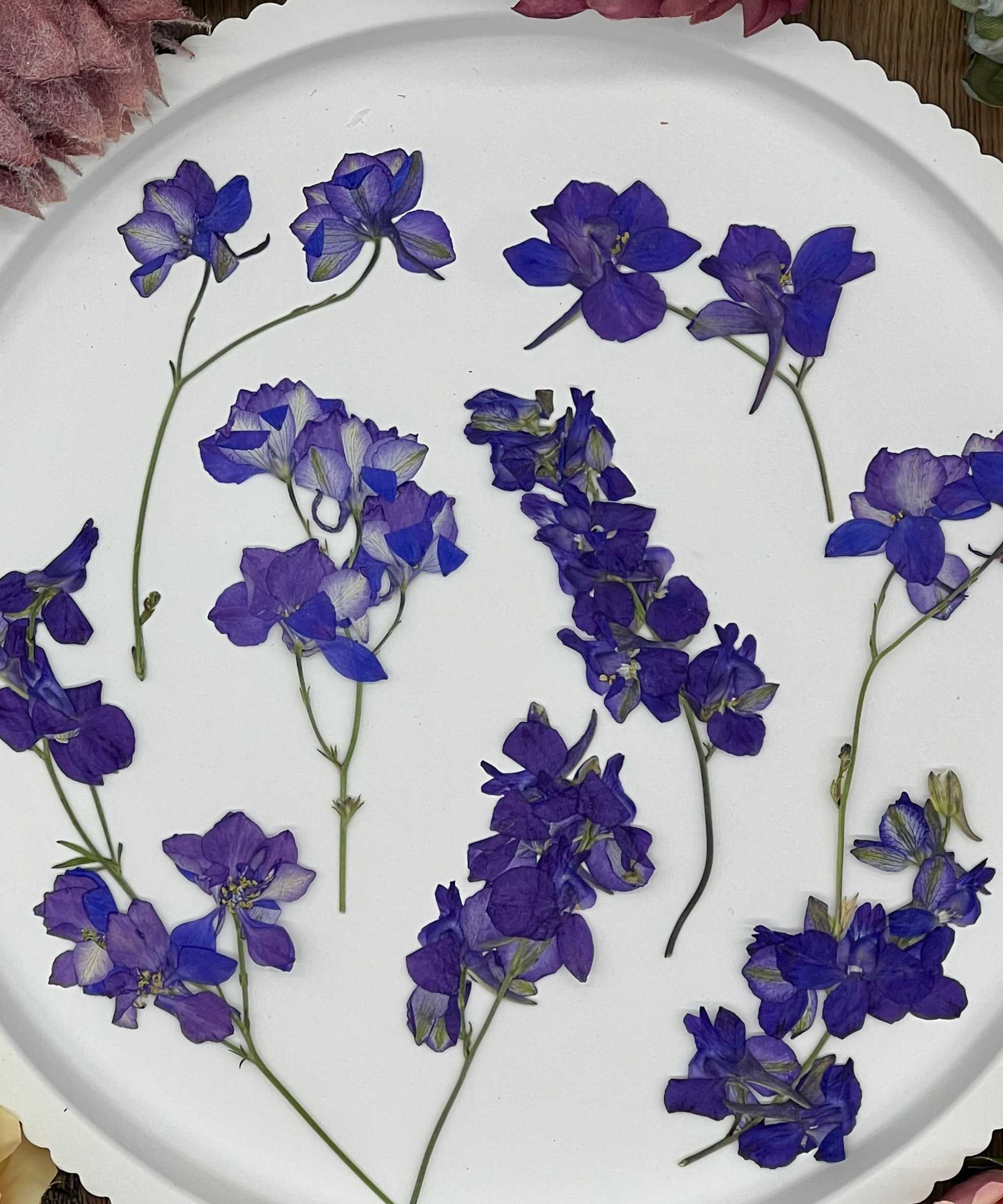 Handgetrocknete, naturbelassene Blumen und Blüten, ideal für Resin Art, Bastelprojekte oder Dekoration. Lebendige Farben für kreative Anwendungen in Kunst und Design. Sorgfältig getrocknete Blüten in strahlenden Farben.

Naturgetrocknete Blüten in authentischen Farben, handverlesen und ideal für kreative Projekte, von Resin Art bis hin zu Dekorationen. Selbstgetrocknete Blüten für kreative Projekte und Resin Art. Perfekt für DIY-Kunstwerke und Dekorationen.
