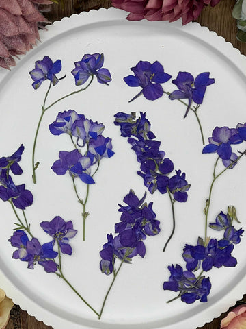 Getrocknete Blumen – 10 getrocknete Larkspur in blau