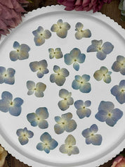 Natürlich getrocknete Hortensienblüten in Mittelblau, perfekt für Resin-Kunst, Bastelarbeiten und Scrapbooking. Jede Blüte einzigartig & detailreich erhalten.