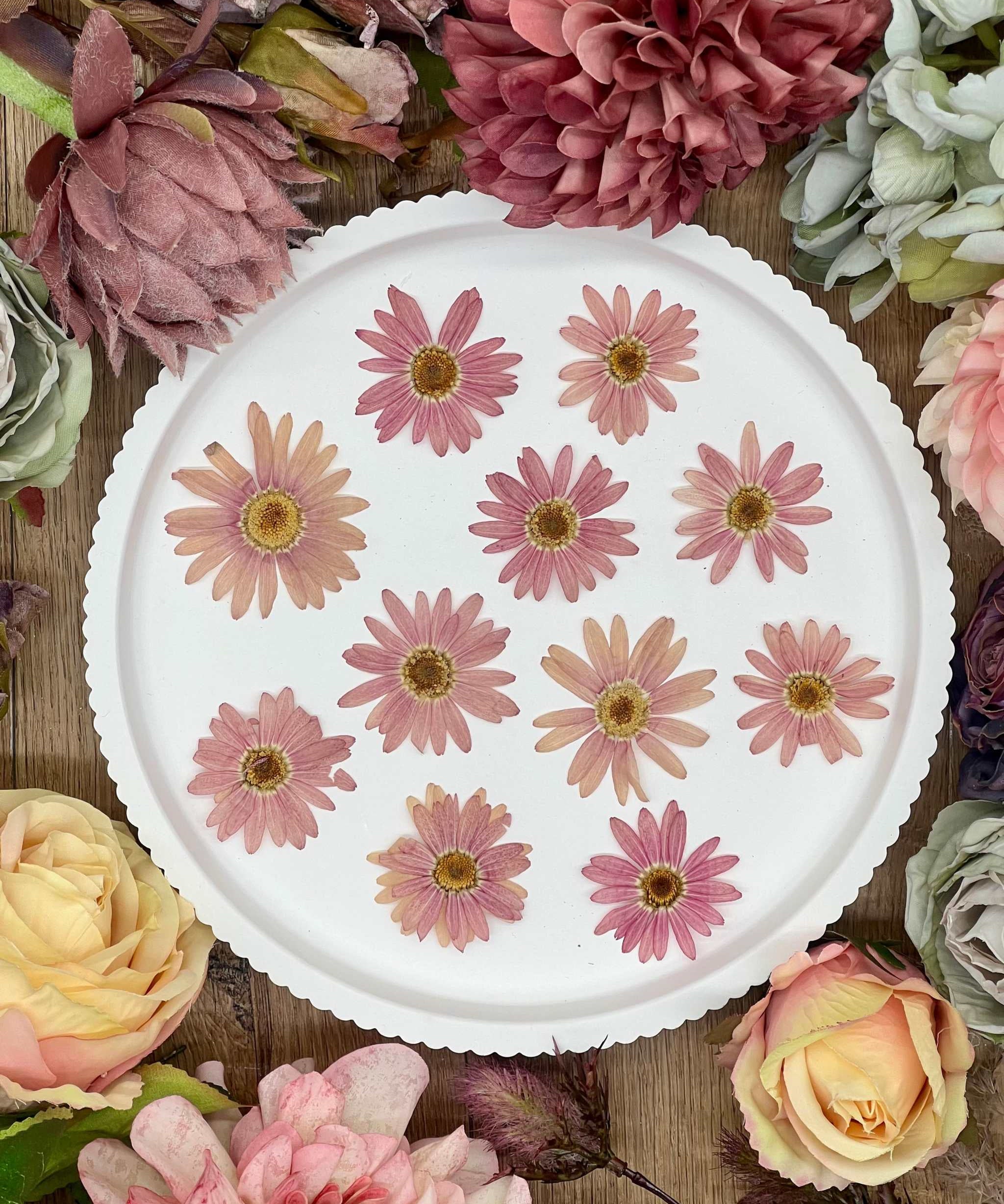 Traumhafte, selbstgetrocknete rosa Blüten für kreative Projekte und Resin Art. Perfekt für DIY-Kunstwerke und Dekorationen.
Naturgetrocknete Blüten in authentischen Farben, handverlesen und ideal für kreative Projekte, von Resin Art bis zu Dekorationen.