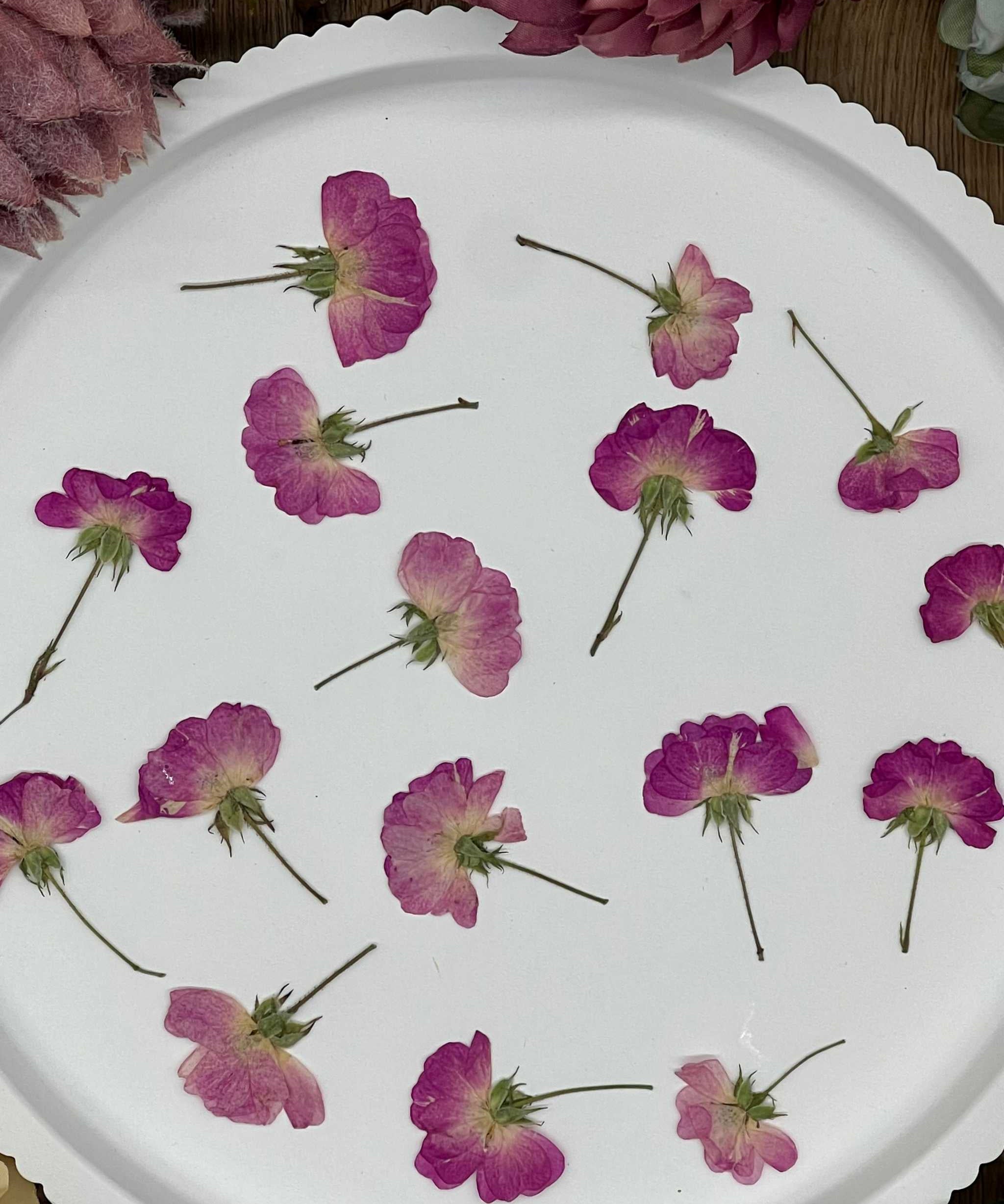 Natürlich getrocknete Rosenblüten in kräftigem Rot, ideal für Resin-Kunst, Bastelarbeiten und Scrapbooking. Jede Blüte ist einzigartig & detailreich erhalten.