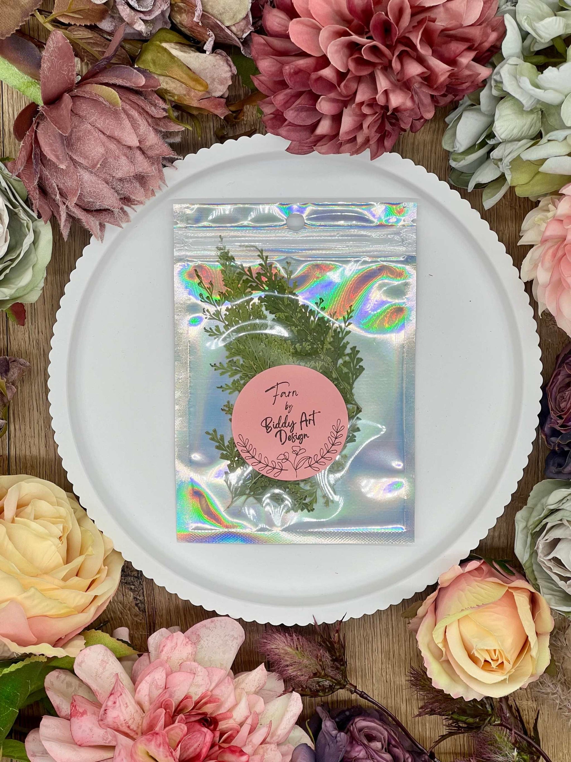 Zarte getrocknete Blumen – filigrane Farne, schonend gepresst, ideal für Bastelarbeiten, Grußkarten oder kunstvolle Geschenkverpackungen.
