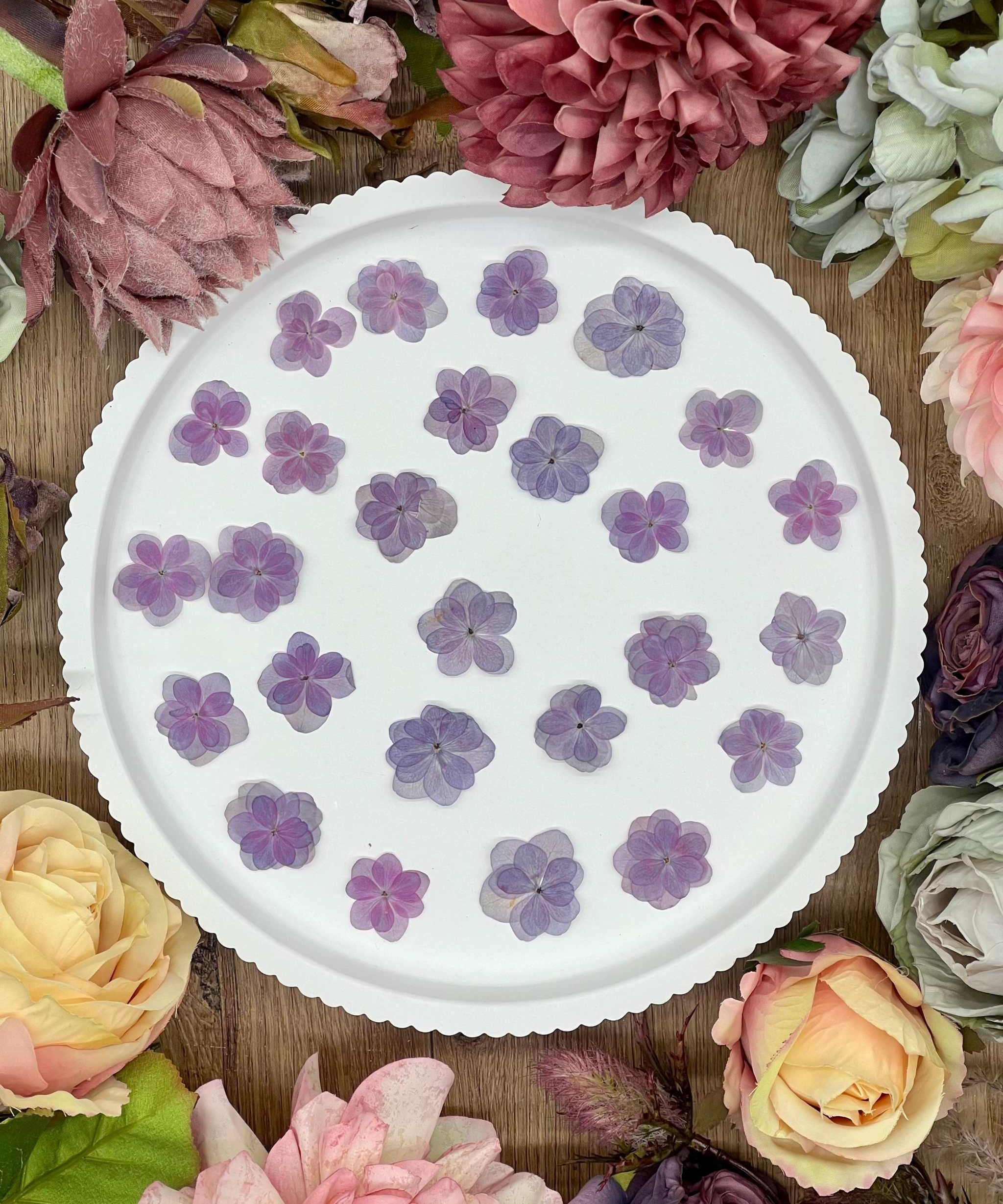 Getrocknete Blumen – 20 handgepresste Lotus Hortensien in Lila, perfekt für kreative DIY-Projekte, Resin Art und kunstvolle Dekorationen.