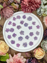 Getrocknete Blumen – 20 getrocknete Lotus Hortensien in lila