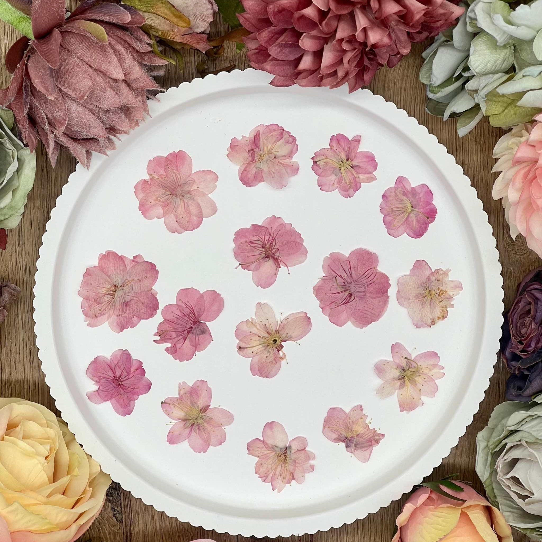12 pink dried Sakura cherry blossoms on a white plate, surrounded by various flowers.