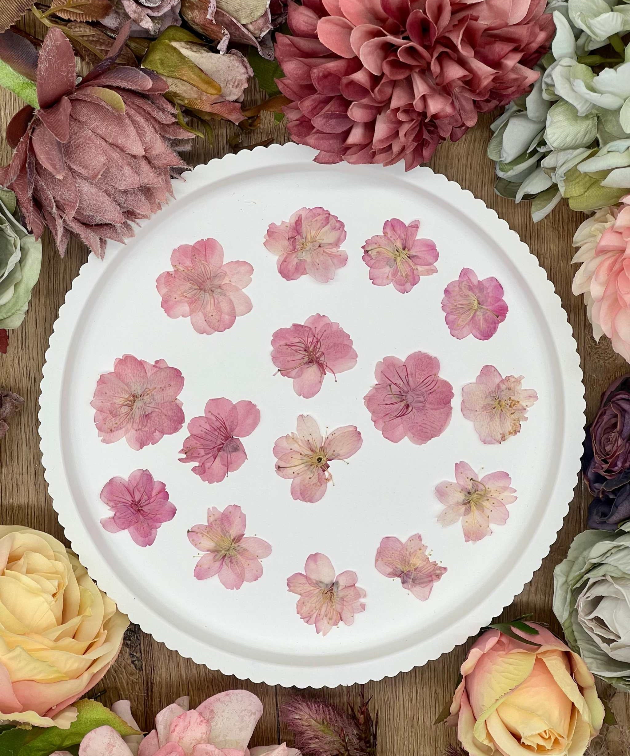 12 pink dried Sakura cherry blossoms on a white plate, surrounded by various flowers.