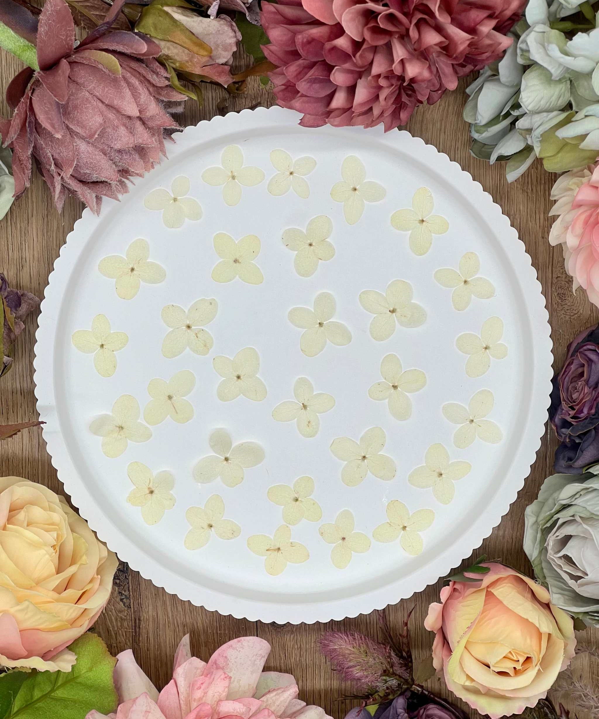 Getrocknete Blumen – 20 handgepresste Hortensien in strahlendem Weiß, perfekt für kreative DIY-Projekte, Resin Art und kunstvolle Dekorationen.