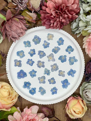 Getrocknete Blumen – 20 handgepresste Lotus Hortensien in Blau, perfekt für kreative DIY-Projekte, Resin Art und kunstvolle Dekorationen.