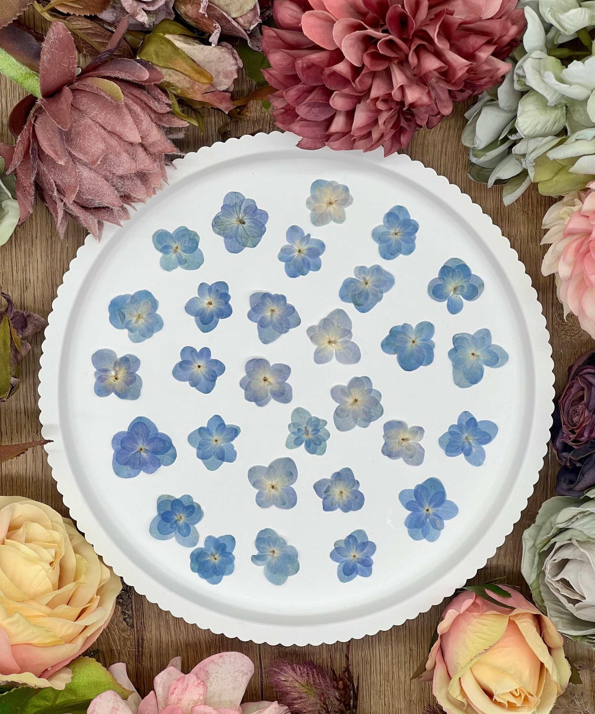 Getrocknete Blumen – 20 handgepresste Lotus Hortensien in Blau, perfekt für kreative DIY-Projekte, Resin Art und kunstvolle Dekorationen.